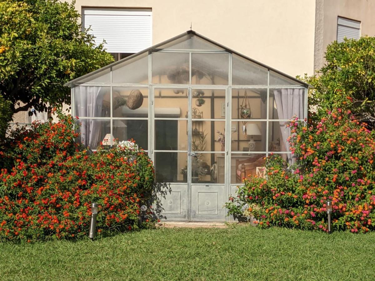 "Mas Tramontane "Chambres D'Hotes Et Studio Avec Piscine Dans Parc Arbore อิล-ซูร์-เตต์ ภายนอก รูปภาพ